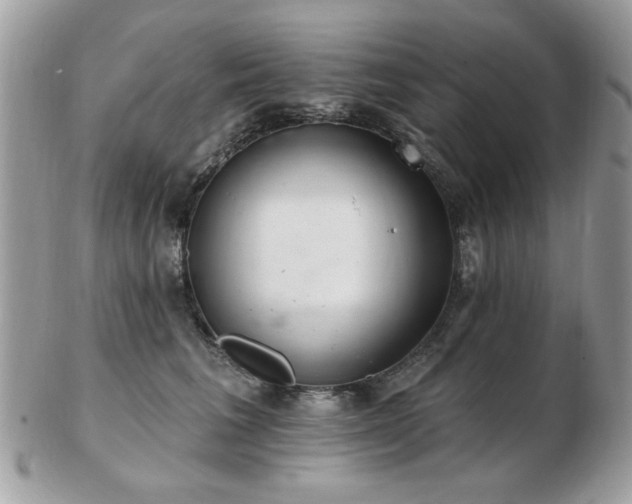 X0000103260613200808291219