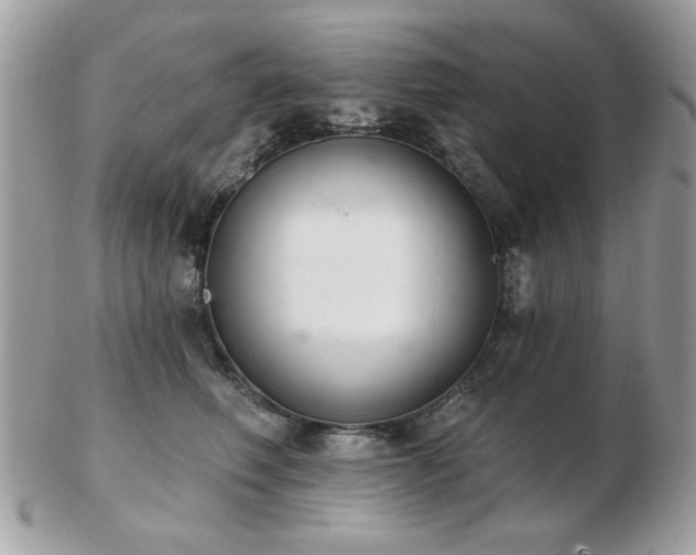 X0000103260614200808291219