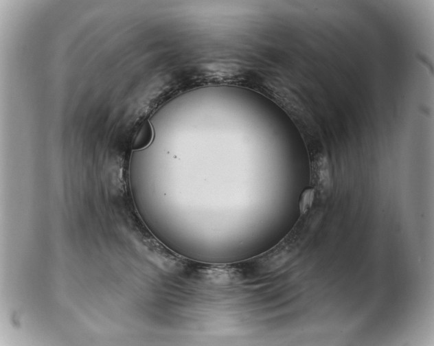 X0000103260615200808291219