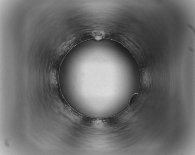 X0000103260616200808291219