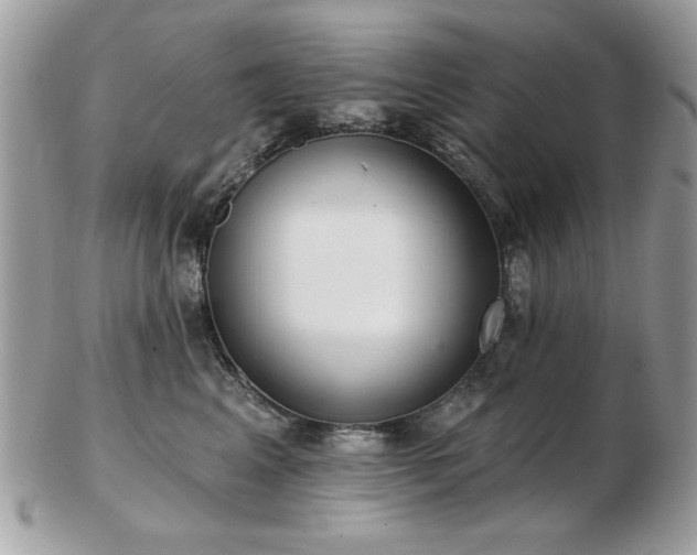 X0000103260617200808291219