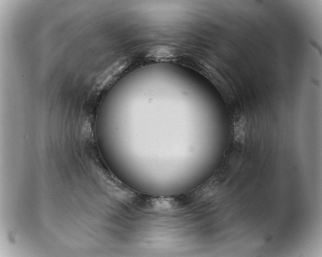 X0000103260618200808291219