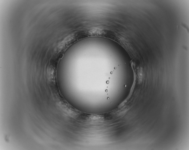 X0000103260619200808291219