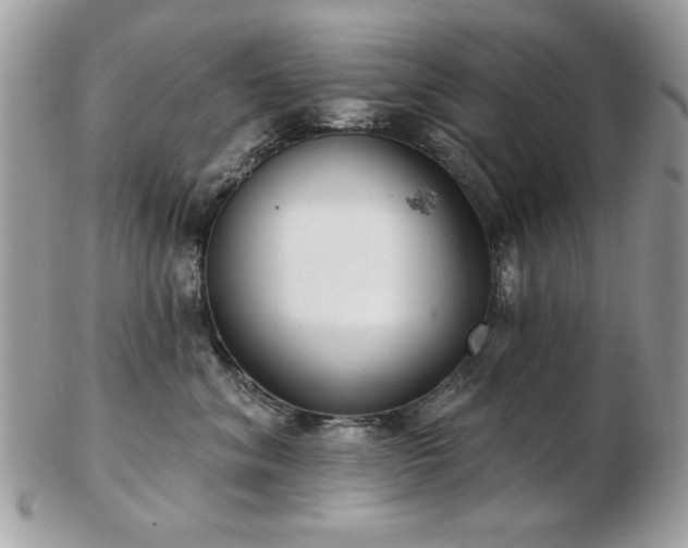 X0000103260620200808291219