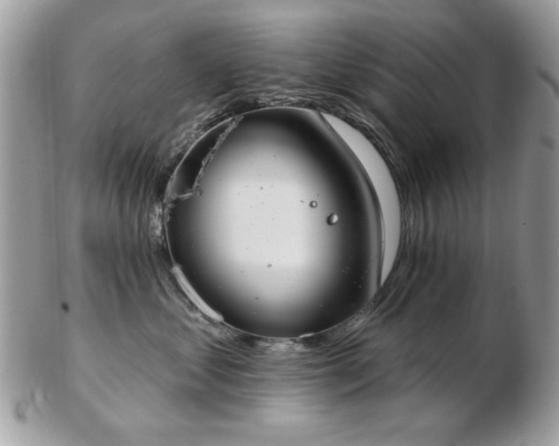 X0000103260621200808291219