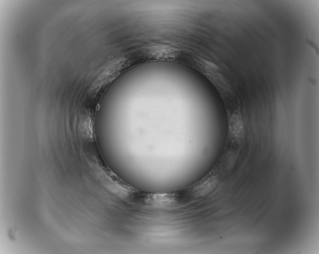 X0000103260622200808291219