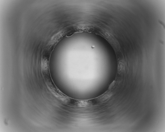 X0000103260623200808291219