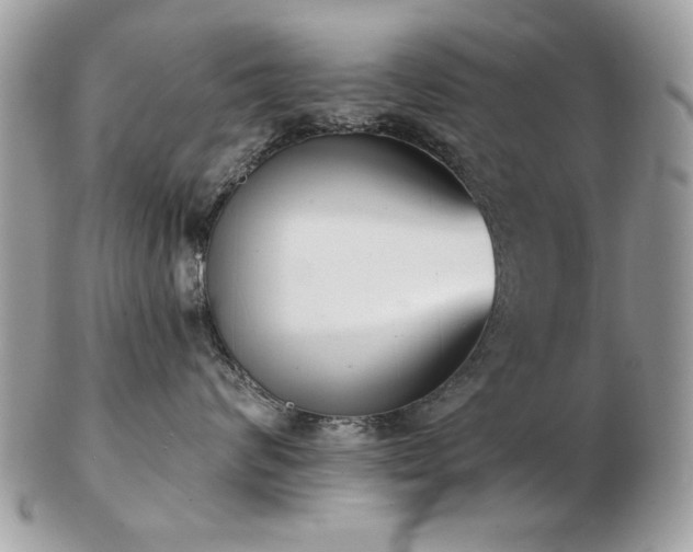 X0000103260624200808291219