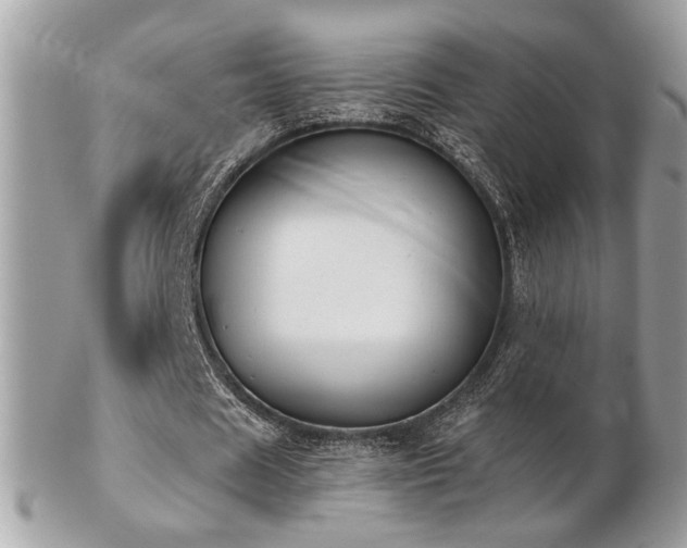 X0000103260625200808291219