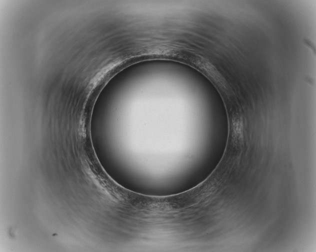 X0000103260628200808291219