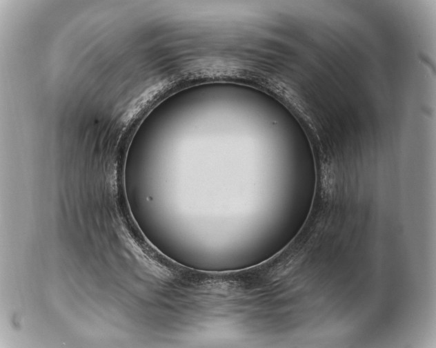 X0000103260629200808291219