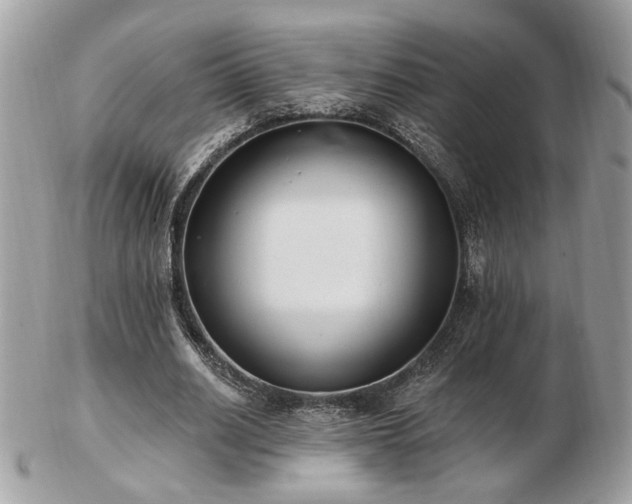 X0000103260630200808291219