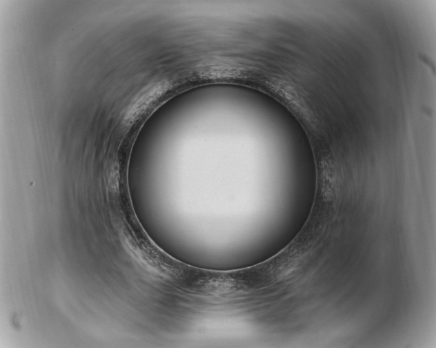 X0000103260631200808291219