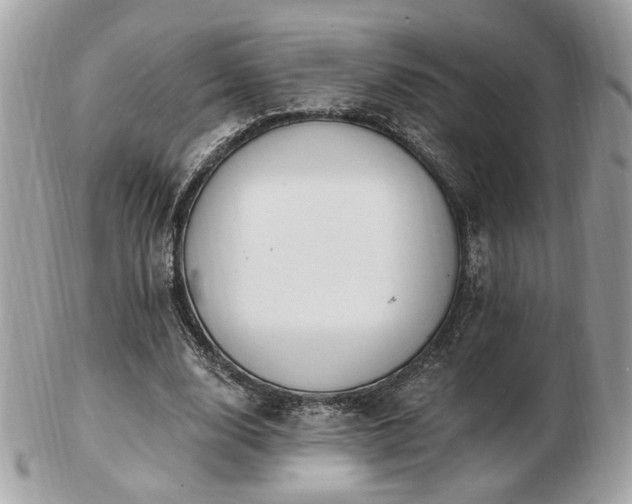 X0000103260632200808291219