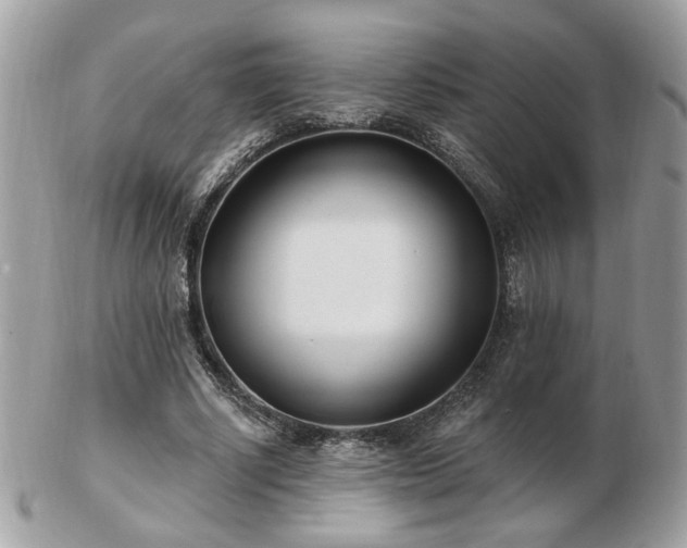 X0000103260634200808291219