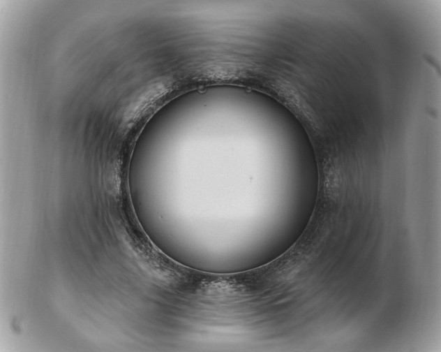 X0000103260635200808291219