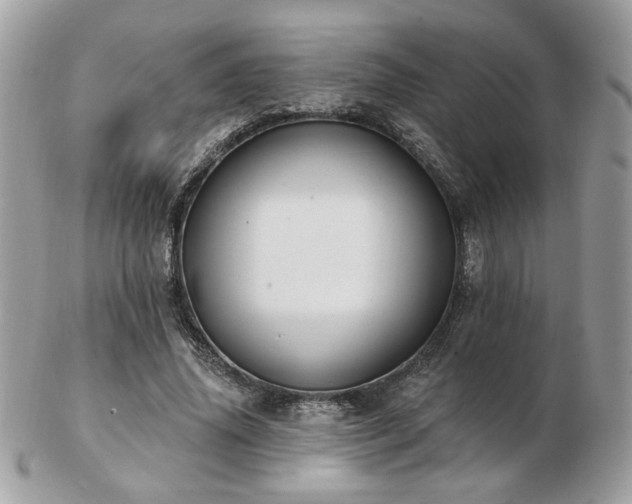 X0000103260636200808291219