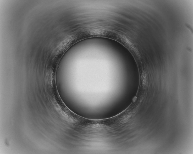 X0000103260637200808291219