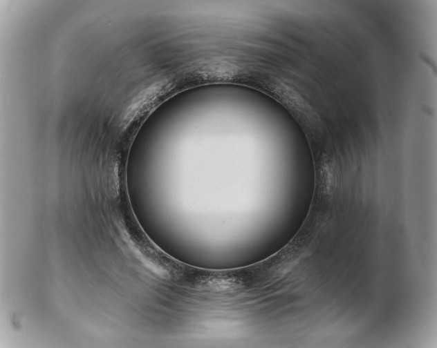 X0000103260638200808291219