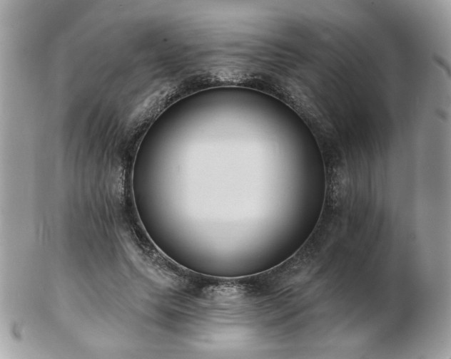 X0000103260639200808291219