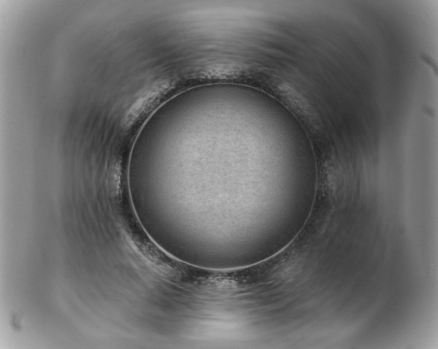 X0000103260640200808291219