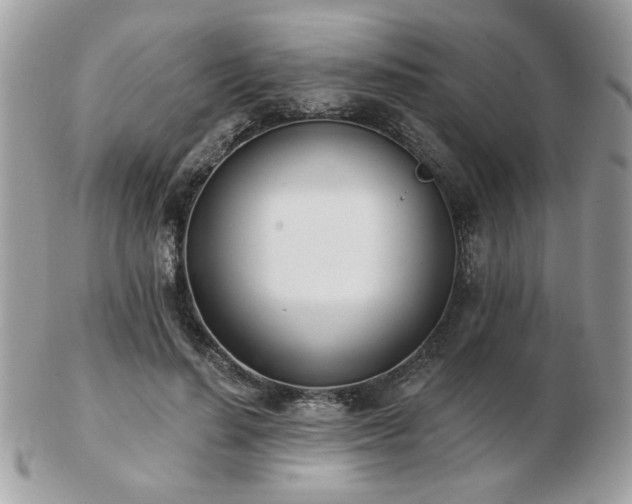 X0000103260644200808291219