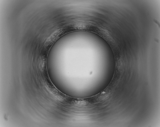 X0000103260645200808291219