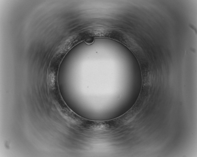 X0000103260646200808291219