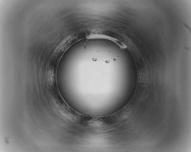 X0000103260648200808291219