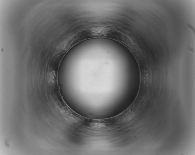 X0000103260649200808291219