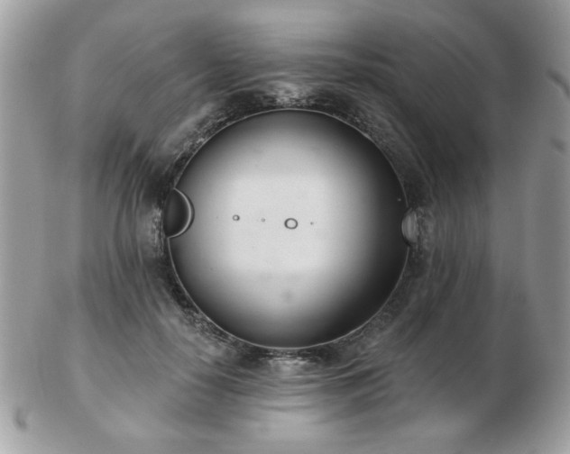 X0000103260650200808291219