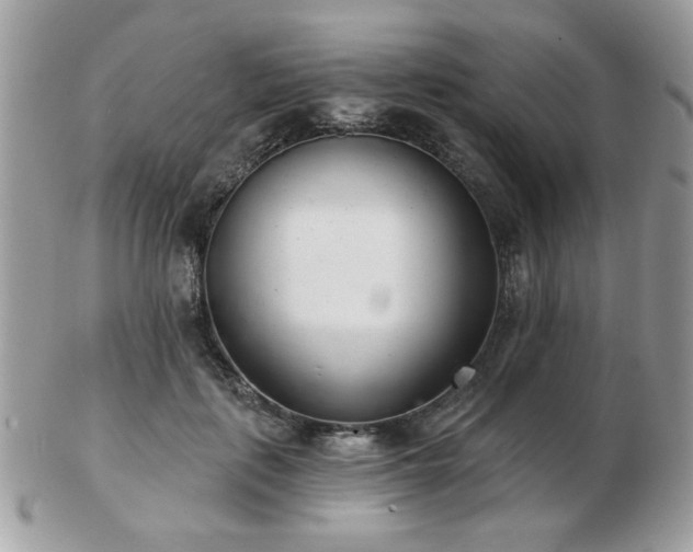 X0000103260651200808291219