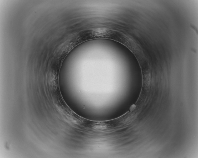 X0000103260653200808291219