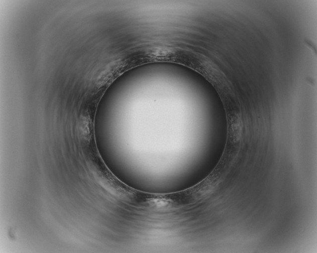 X0000103260654200808291219