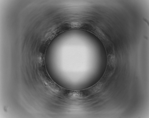 X0000103260655200808291219