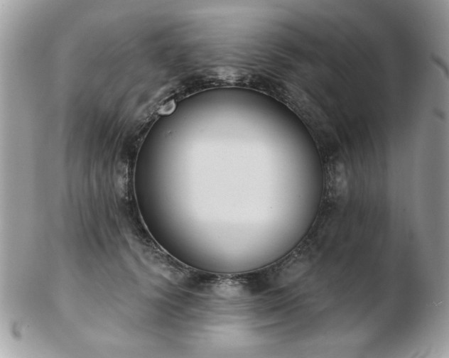 X0000103260656200808291219