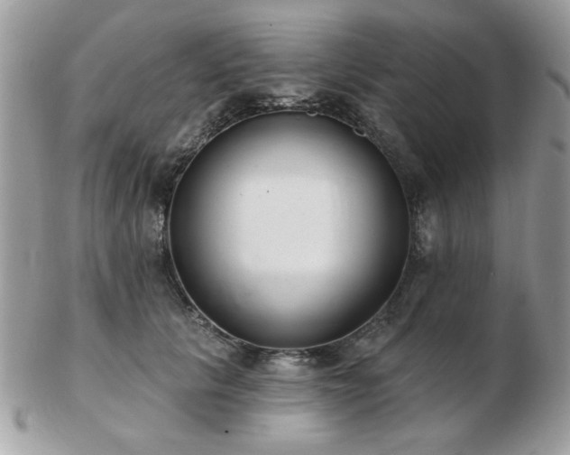 X0000103260657200808291219