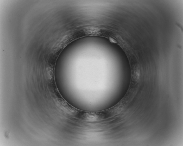 X0000103260658200808291219