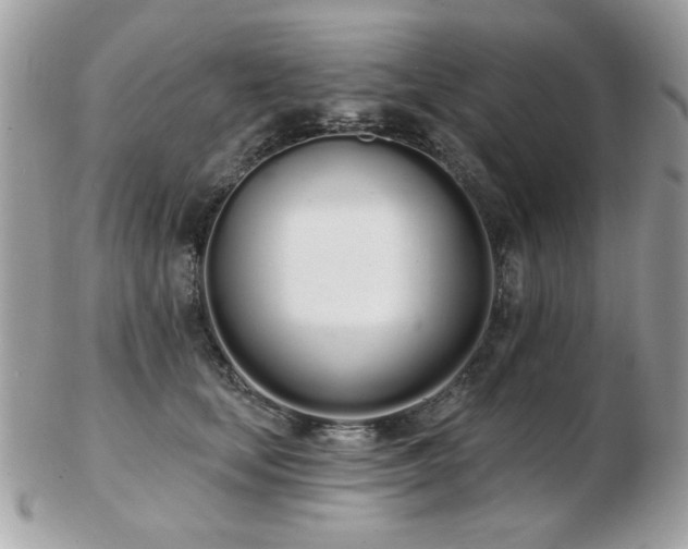 X0000103260659200808291219