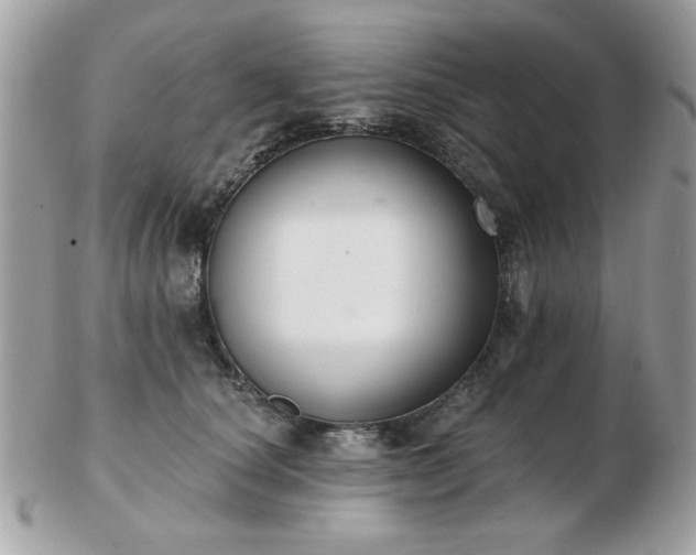 X0000103260660200808291219