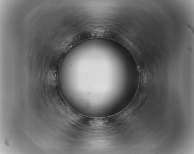 X0000103260661200808291219