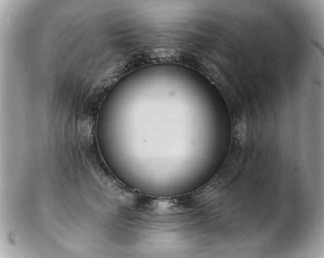 X0000103260662200808291219