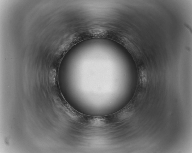 X0000103260664200808291219