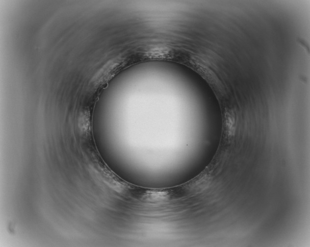 X0000103260665200808291219