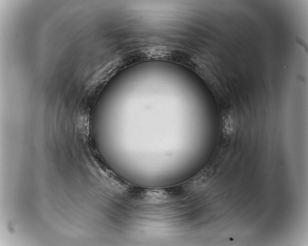 X0000103260666200808291219