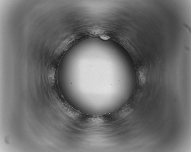 X0000103260668200808291219