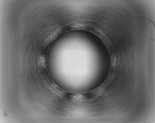 X0000103260669200808291219