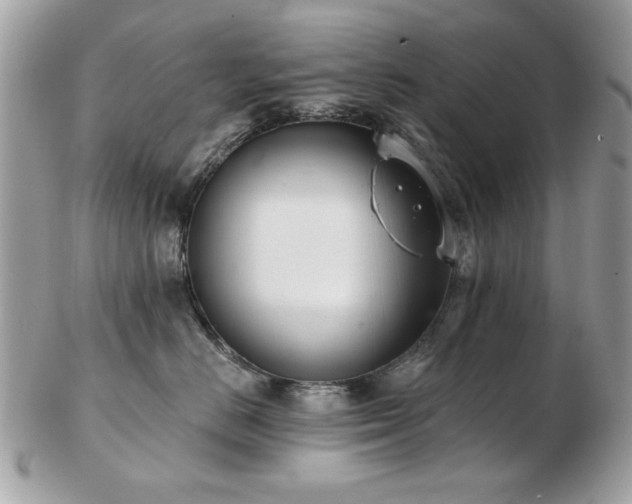 X0000103260670200808291219