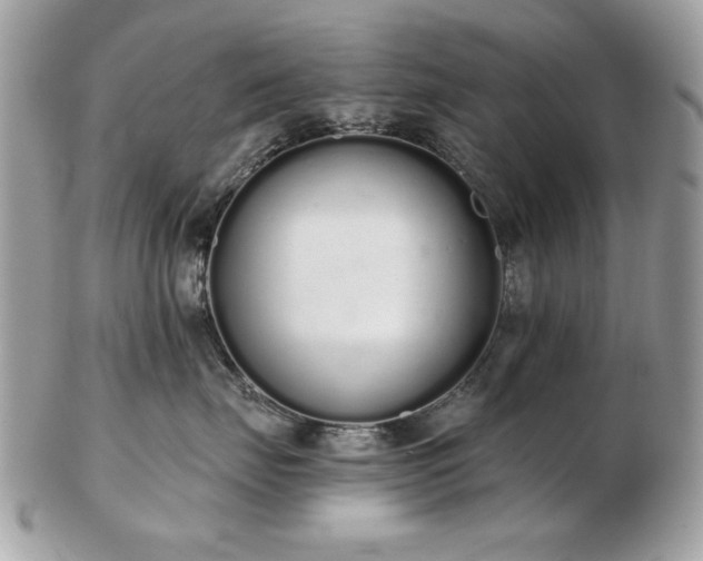 X0000103260671200808291219