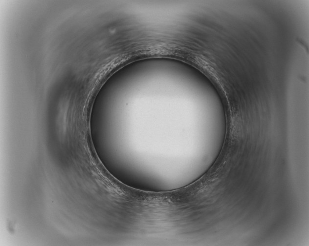 X0000103260673200808291219